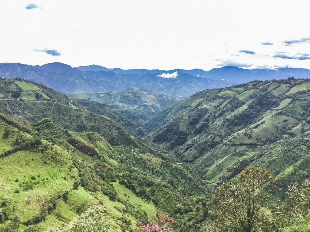 Las Perlitas - Colombia