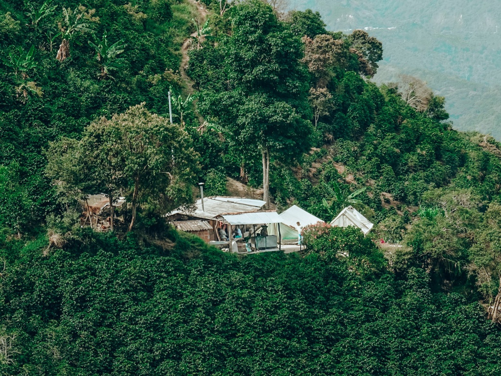 Exotico de Giraldo - Colombia 